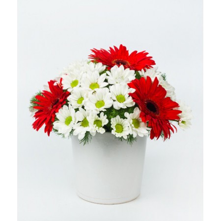 Seramikte gerbera ve Papatyalar 